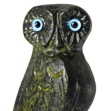 Owl, the Symbol of Wisdom