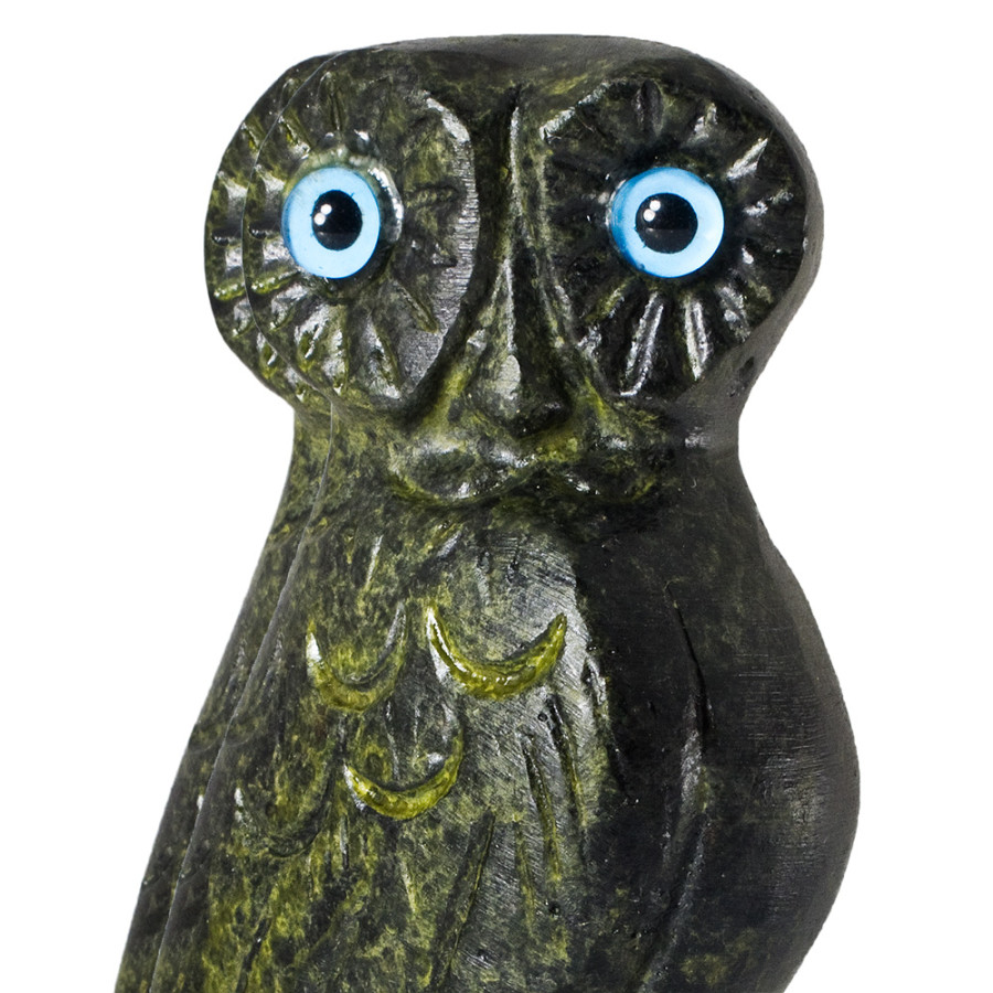 Owl, the Symbol of Wisdom