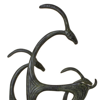 Complex of Three Aegagrus