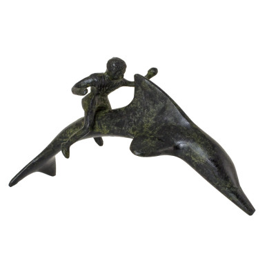 Dolphin With Boy Rider