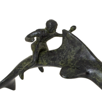 Dolphin With Boy Rider