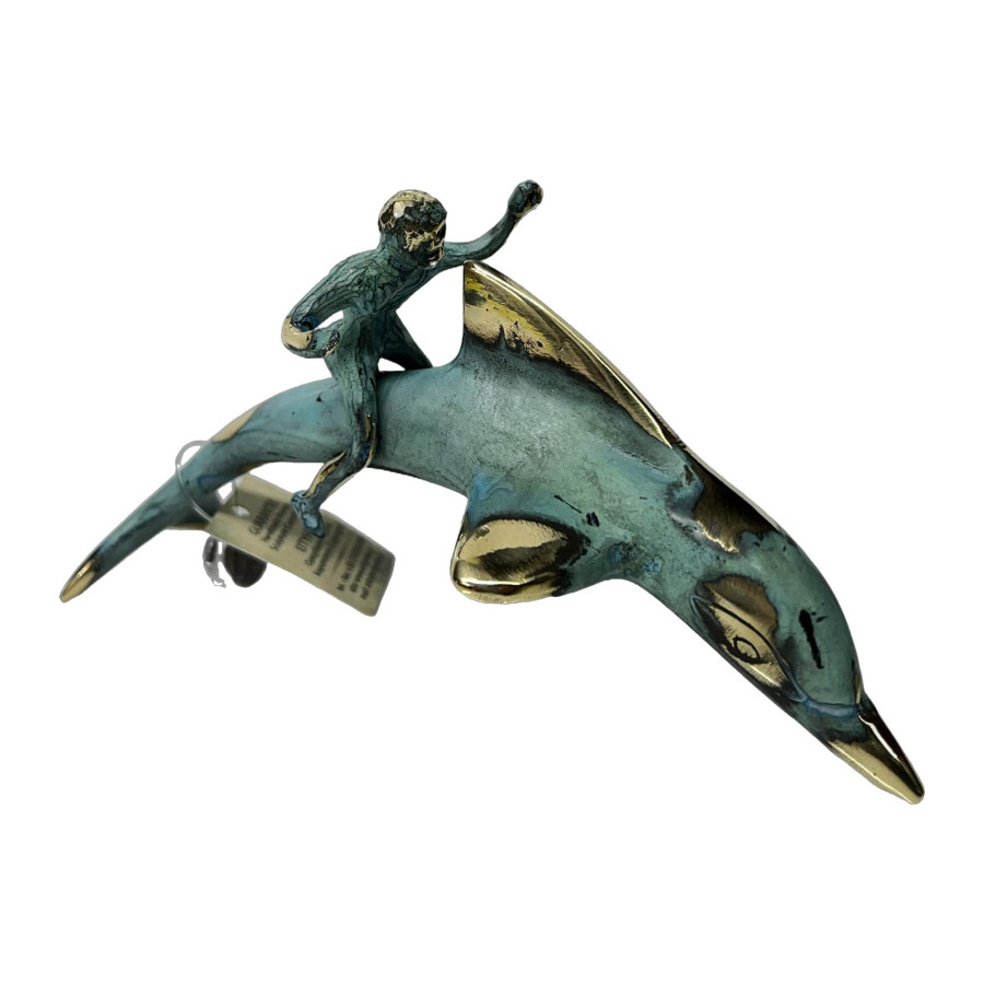 Dolphin With Boy Rider
